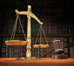Forensic Accounting & Litigation Support Services